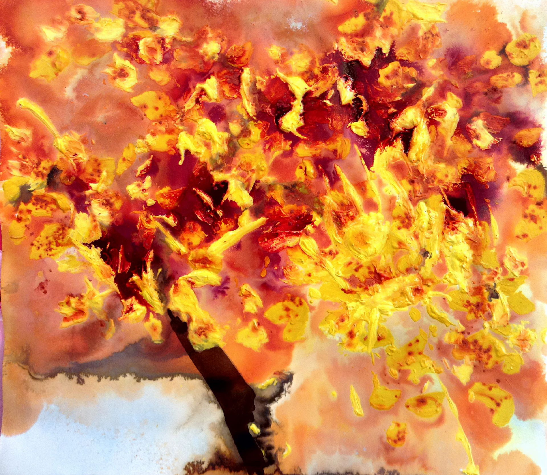 Adolfo Pérez Arriba Serie Primavera